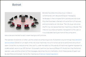 Botnet Scams