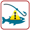 Phishing Scams