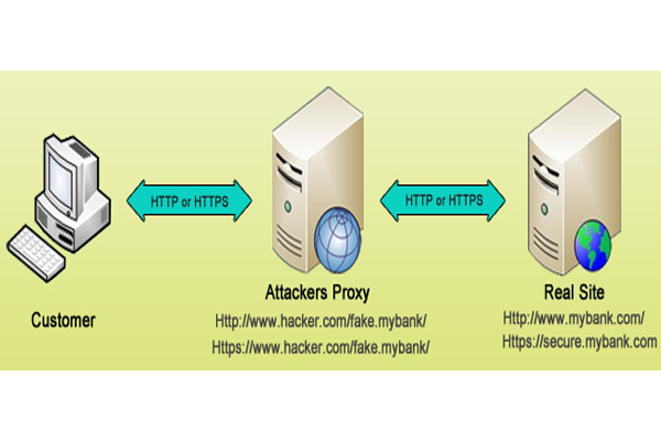 working of Web based delivery